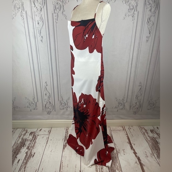 Roxanne Classy Floral Print Chiffon Plunging Backless Backline Casual Maxi Dress - Picture 5 of 8